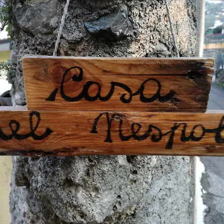 Casa Del Nespolo