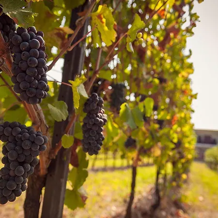 Nocleg ze śniadaniem Casa Del Nespolo