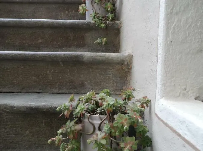 Nocleg ze śniadaniem Casa Del Nespolo Pilzone