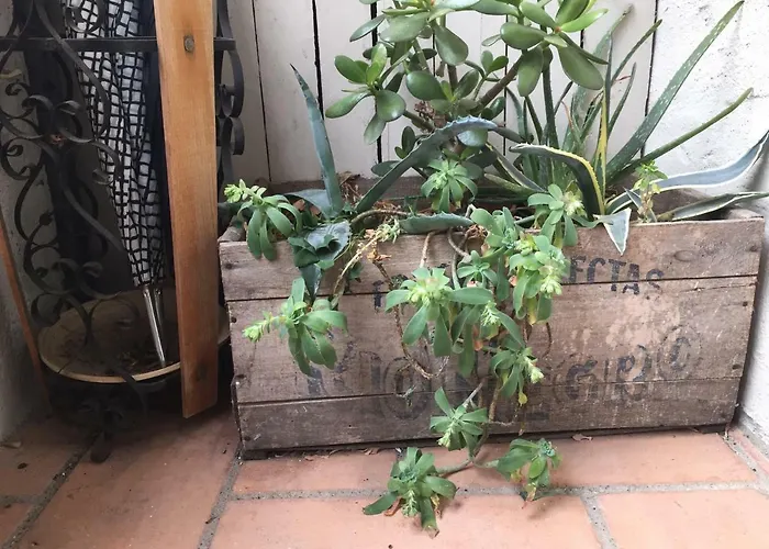 Casa Del Nespolo 3* Pilzone