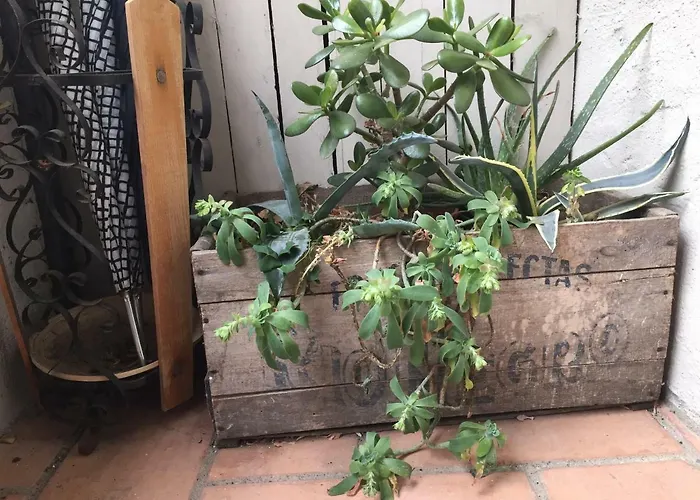 Casa Del Nespolo Nocleg ze śniadaniem Pilzone