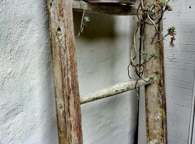 Casa Del Nespolo Pilzone